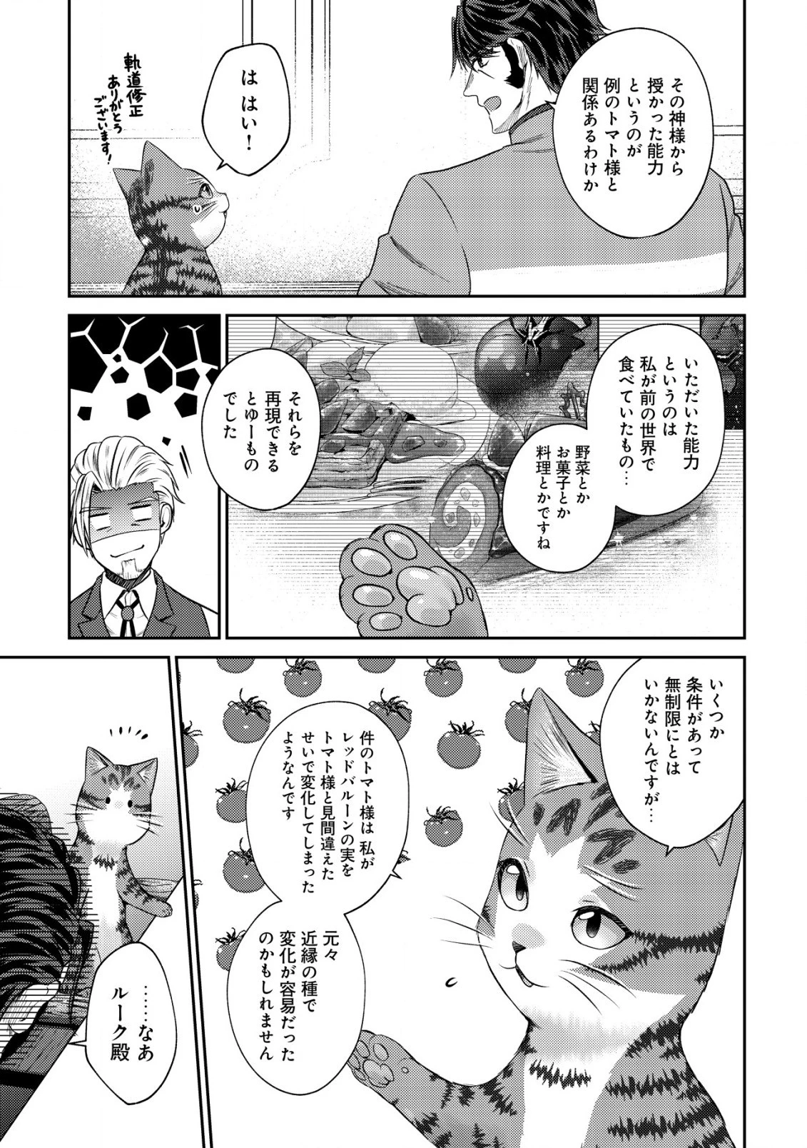 我輩は猫魔導師である～キジトラ・ルークの快適チート猫生活～ 第12.2話 - 11