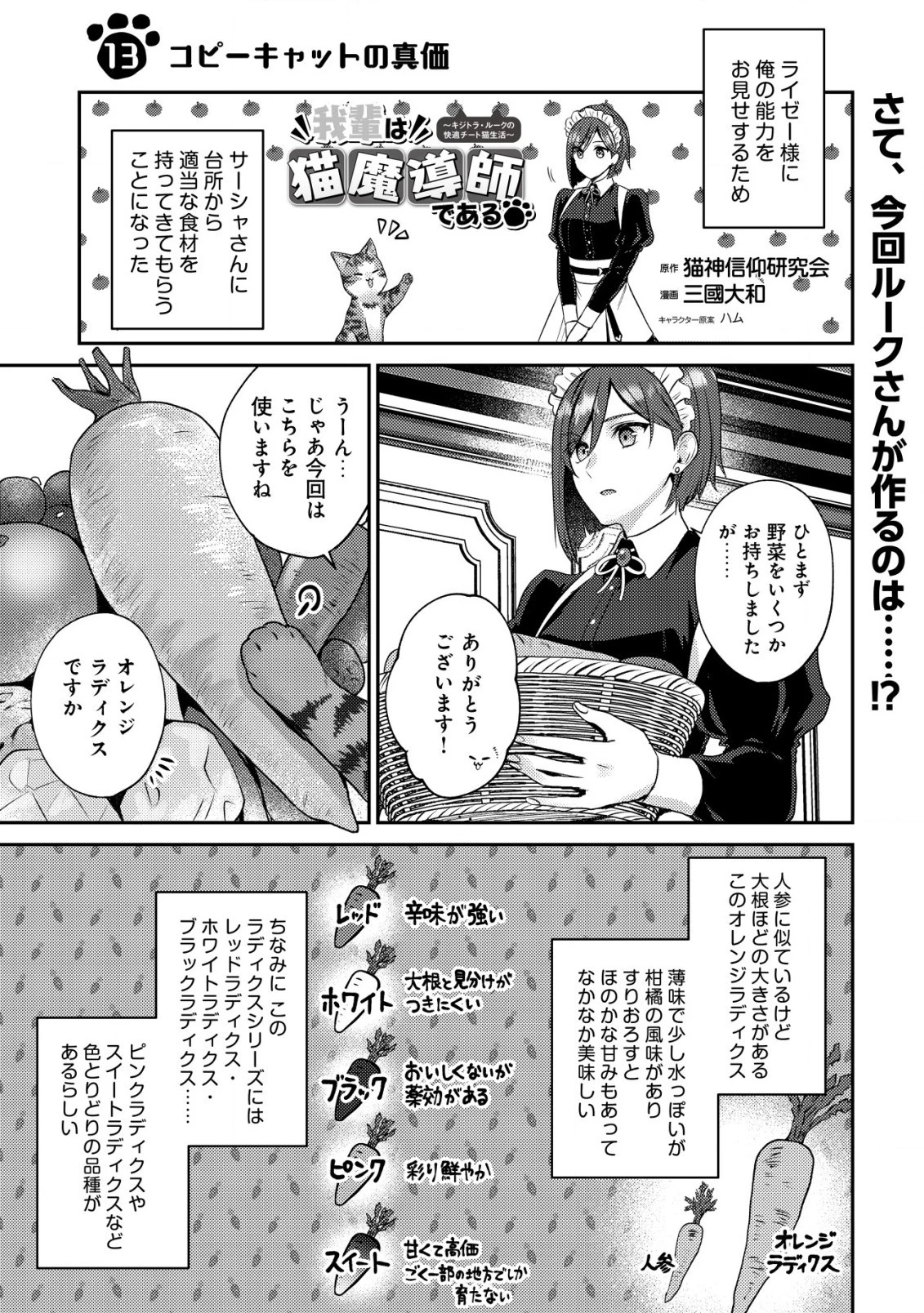 我輩は猫魔導師である～キジトラ・ルークの快適チート猫生活～ 第13.1話 - 1