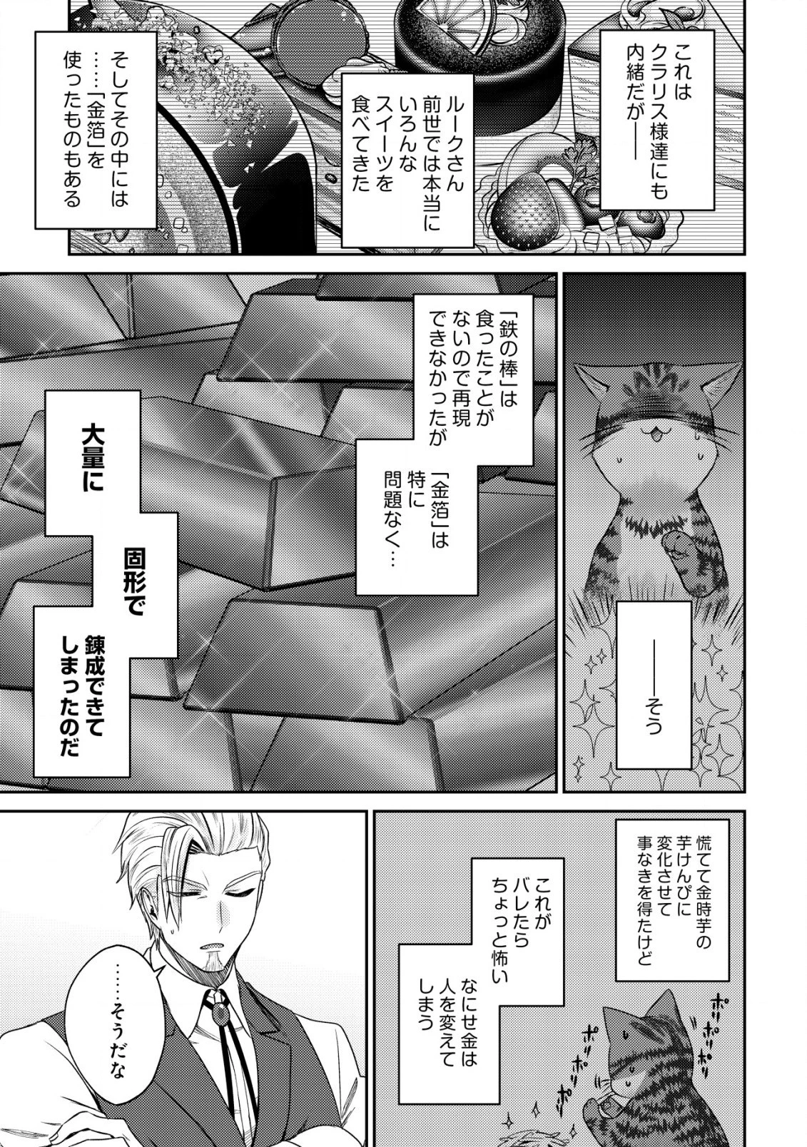 我輩は猫魔導師である～キジトラ・ルークの快適チート猫生活～ 第13.1話 - 11
