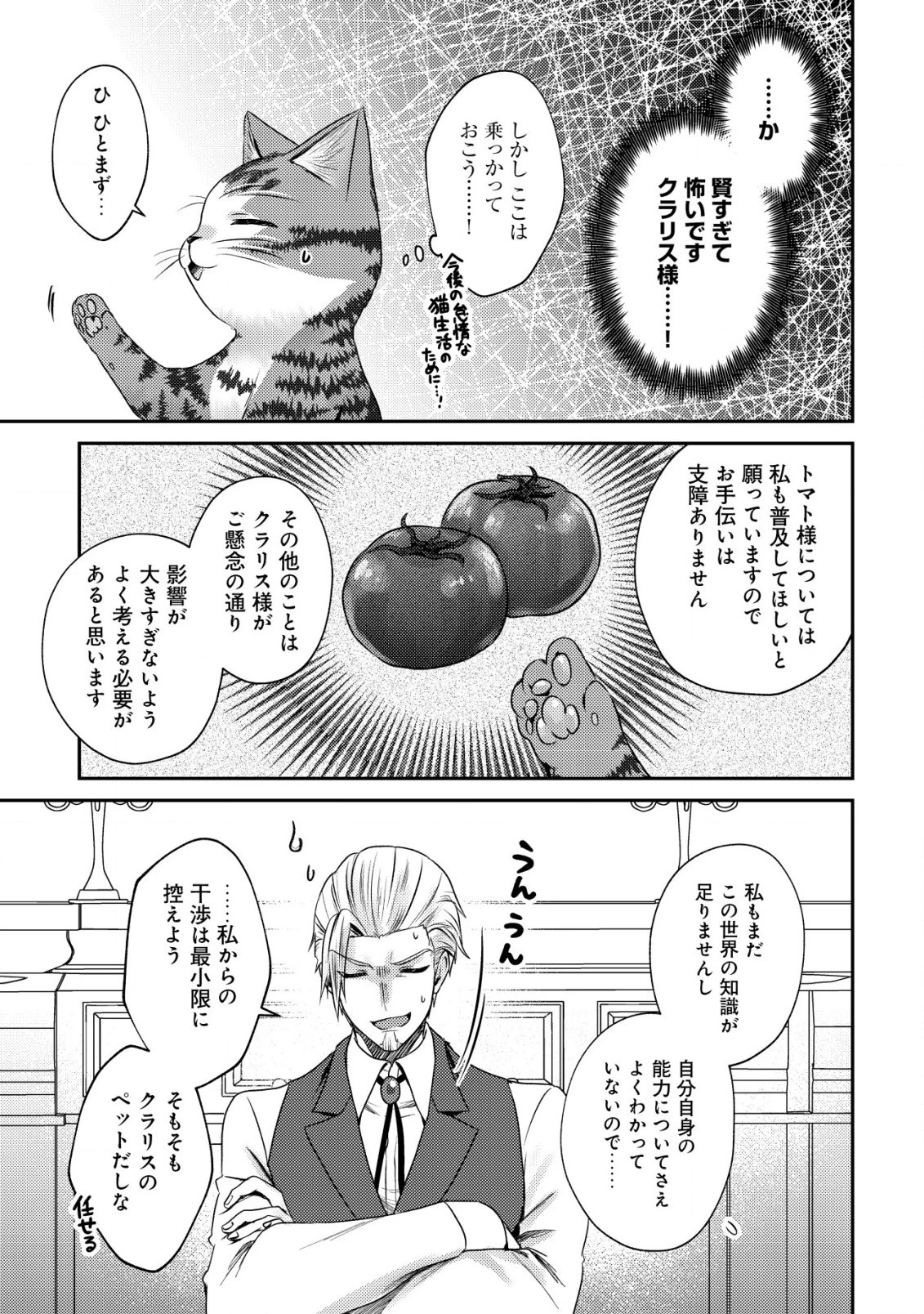 我輩は猫魔導師である～キジトラ・ルークの快適チート猫生活～ 第13.2話 - 3