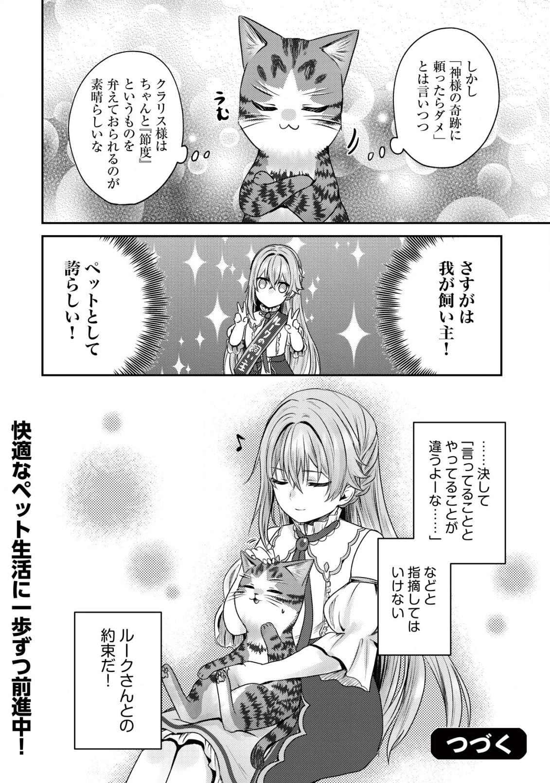 我輩は猫魔導師である～キジトラ・ルークの快適チート猫生活～ 第13.2話 - 10