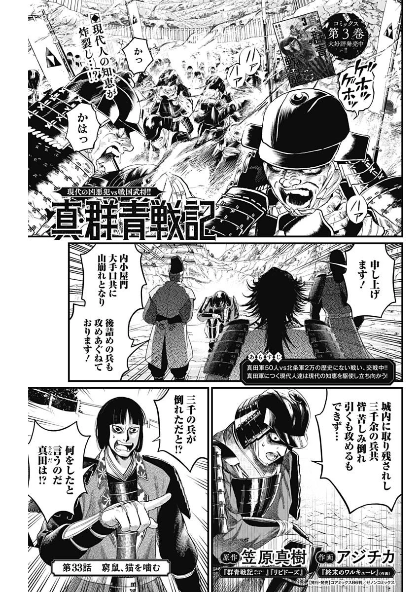 真・群青戦記 第33話 - 1