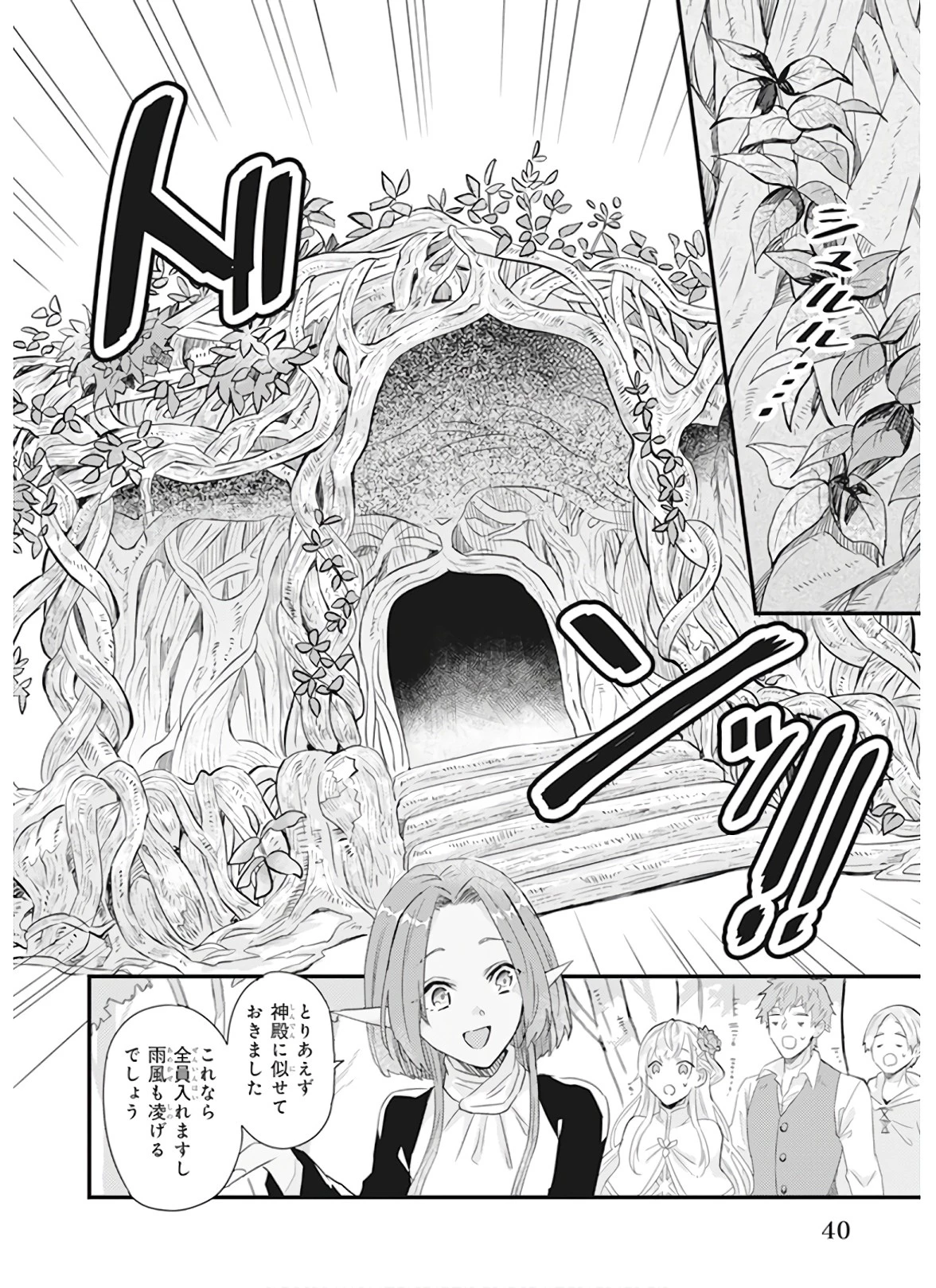 妹に婚約者を譲れと言われました　最強の竜に気に入られてまさかの王国乗っ取り？ 第8話 - 12