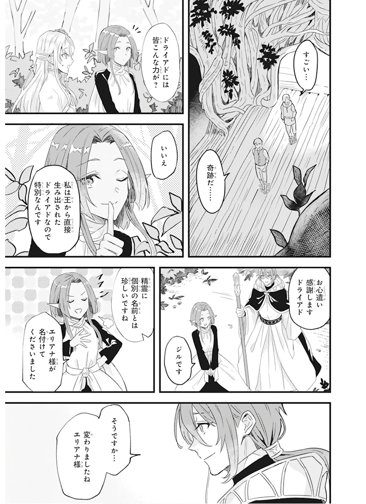 妹に婚約者を譲れと言われました　最強の竜に気に入られてまさかの王国乗っ取り？ 第8話 - 13