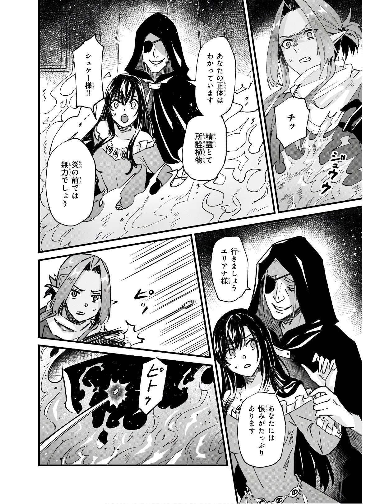 妹に婚約者を譲れと言われました　最強の竜に気に入られてまさかの王国乗っ取り？ 第25.2話 - 17